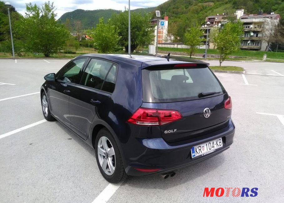 2014' Volkswagen Golf VII 2,0 Tdi Bmt photo #1