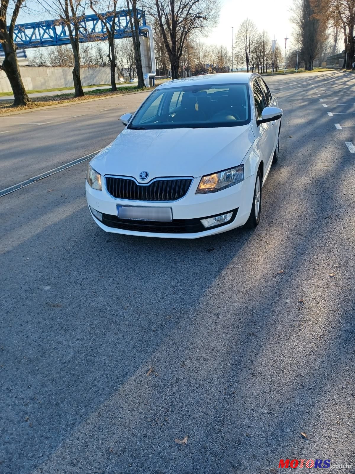 2013' Skoda Octavia 1,6 Tdi photo #2