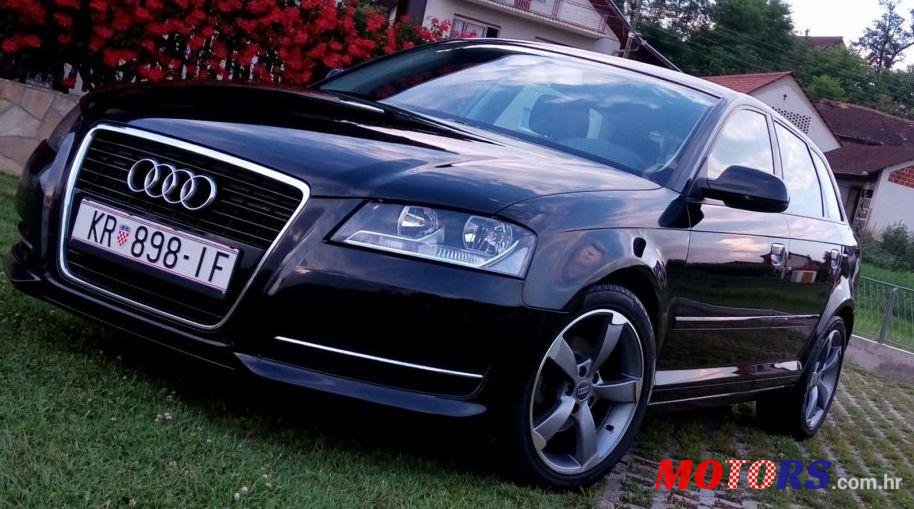 2010' Audi A3 1,6 TDI photo #1