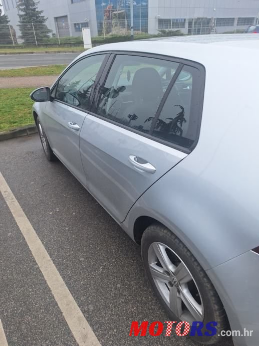 2013' Volkswagen Golf VII photo #2