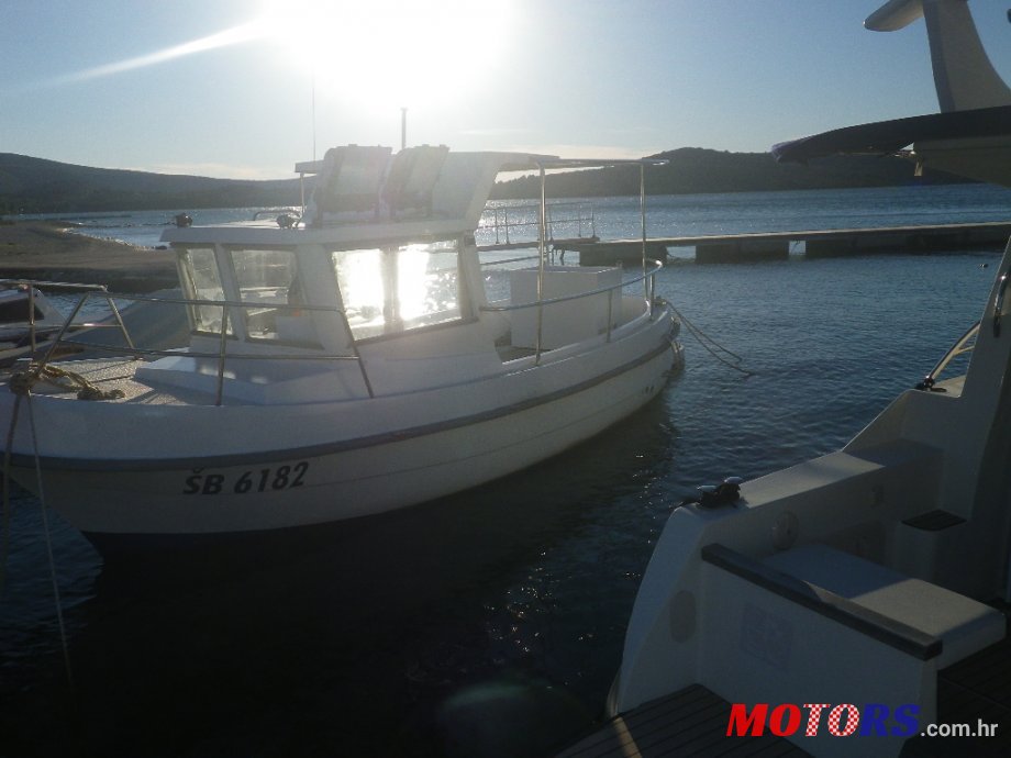 2017' Gull gull 745 photo #1