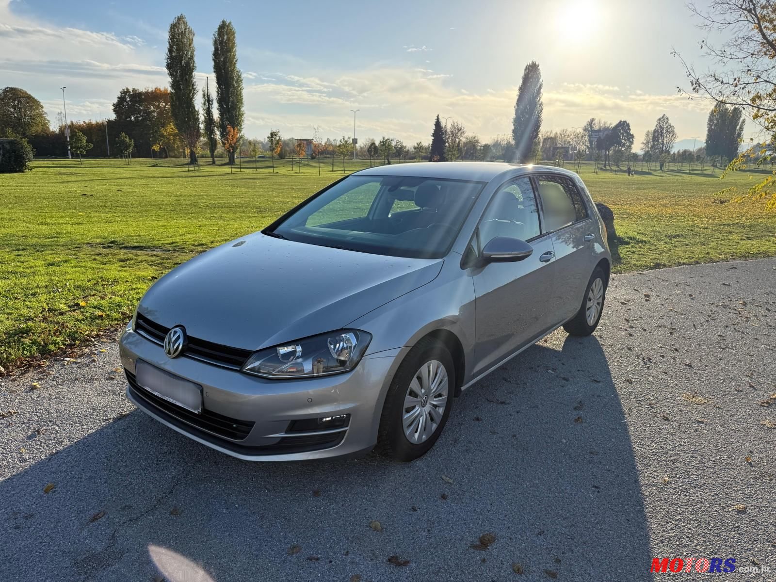 2013' Volkswagen Golf VII 1,6 Tdi Bmt photo #1