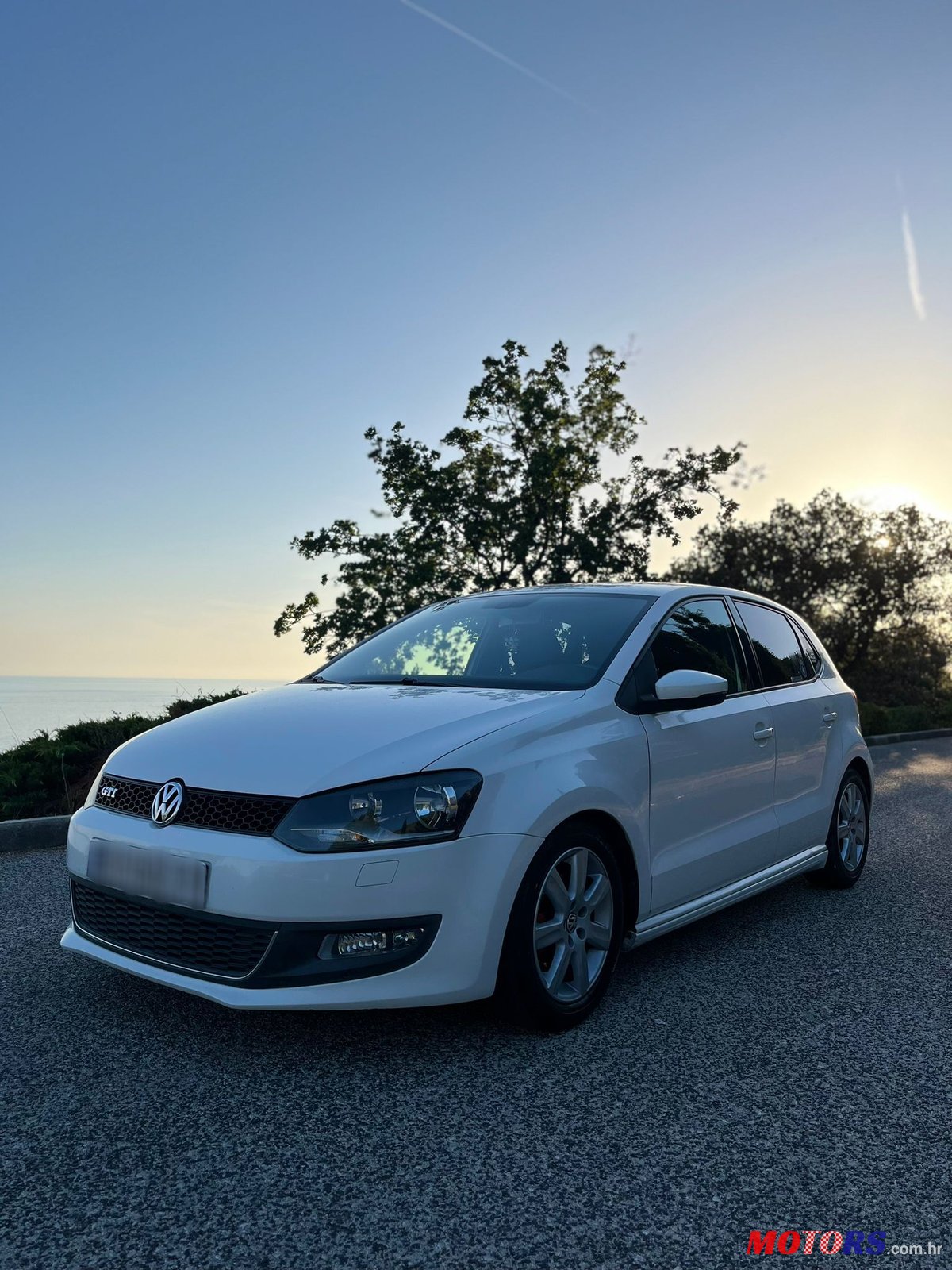 2010' Volkswagen Polo photo #1