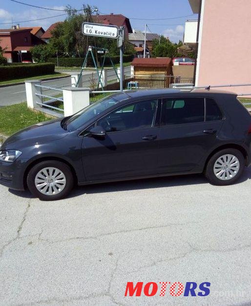 2013' Volkswagen Golf VII 1,6 Tdi Bmt photo #1