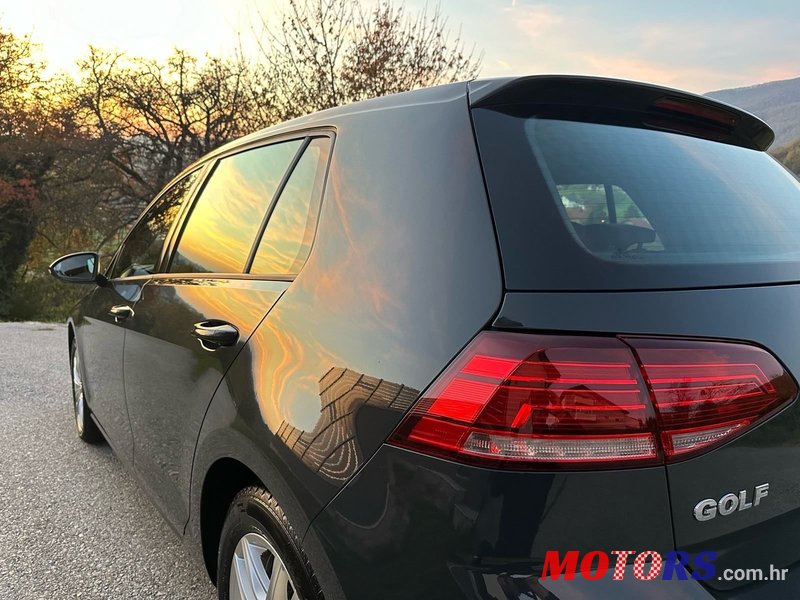 2019' Volkswagen Golf VII 1,6 Tdi photo #5