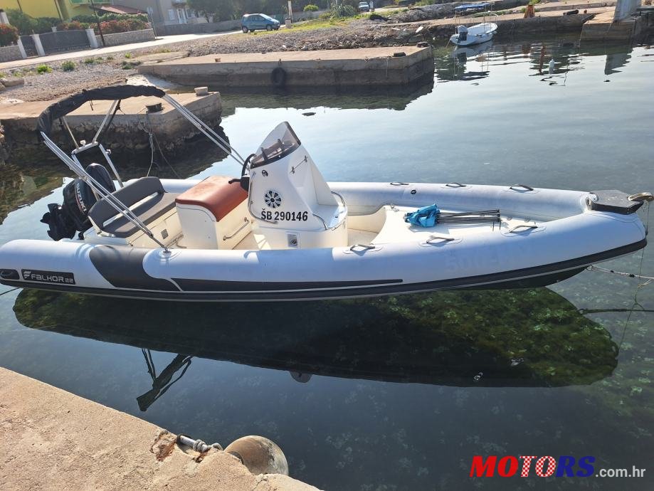 2017' Falkor photo #1