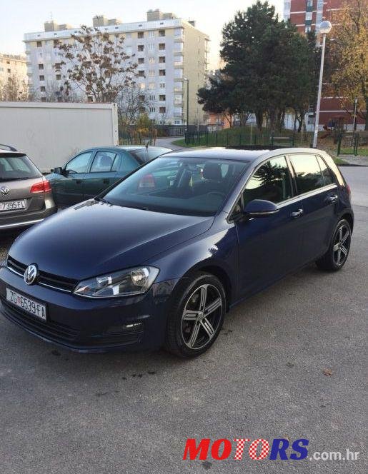 2013' Volkswagen Golf VII 1,6 Tdi Bmt photo #1