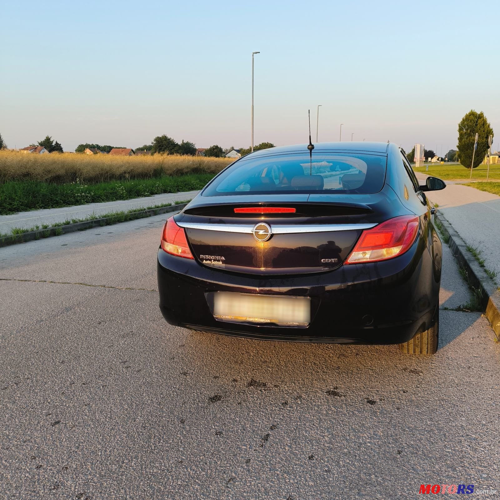 2013' Opel Insignia 2,0 Cdti photo #2