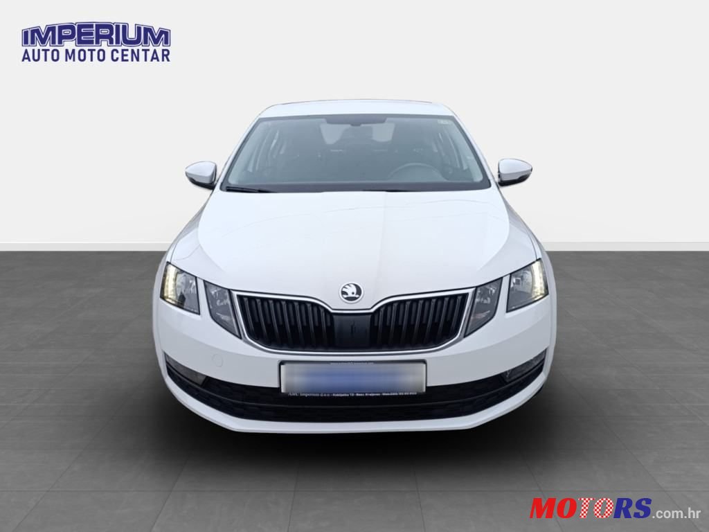2019' Skoda Octavia photo #1