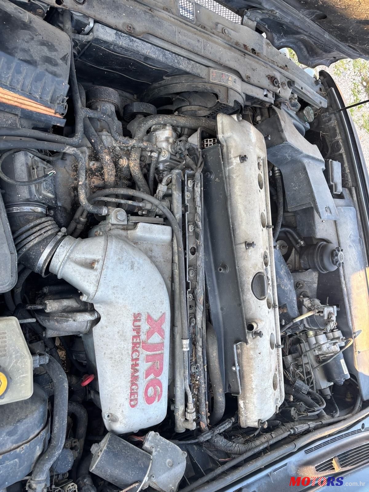 1995' Jaguar XJ 4.0 photo #6