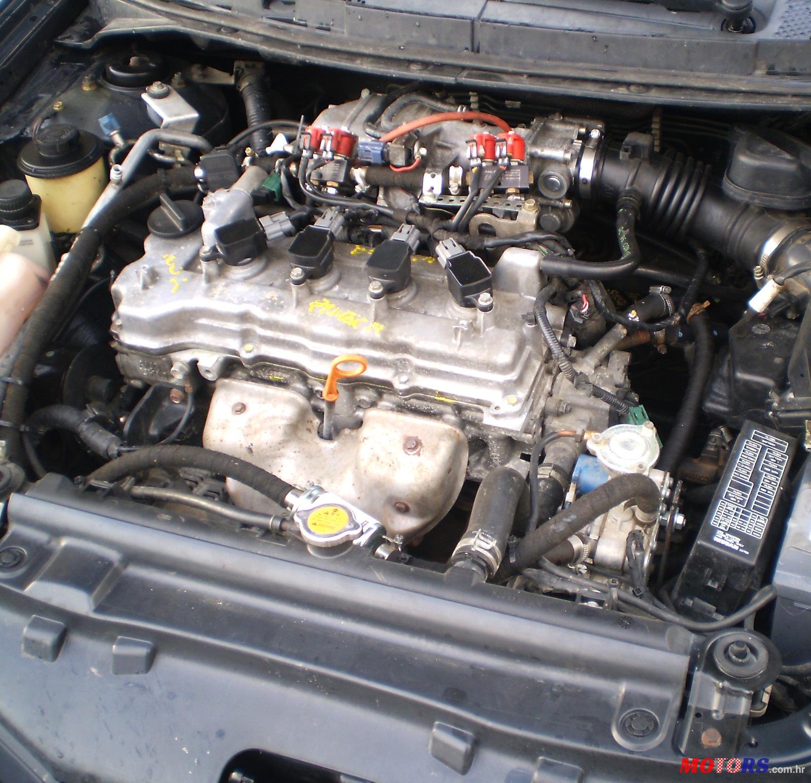 2004' Nissan Primera photo #7