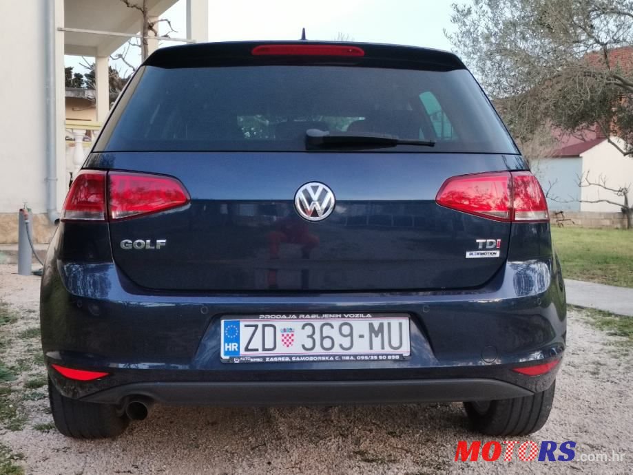 2015' Volkswagen Golf 7 photo #6