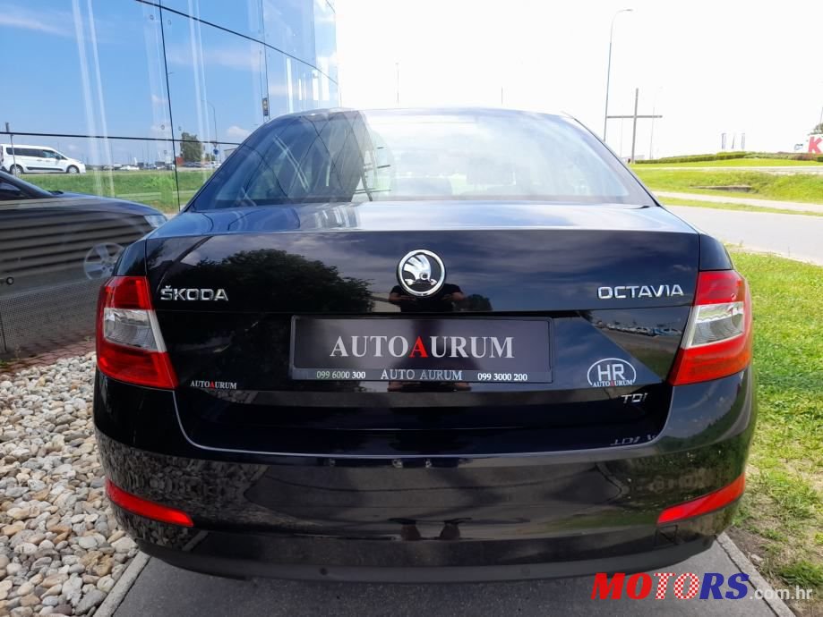 2013' Skoda Octavia photo #4