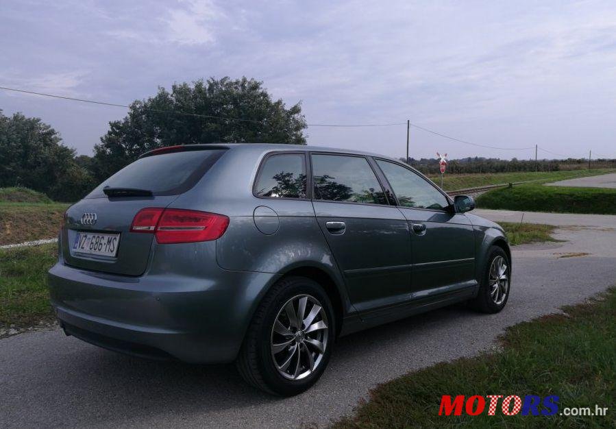 2010' Audi A3 1,6 Tdi photo #2