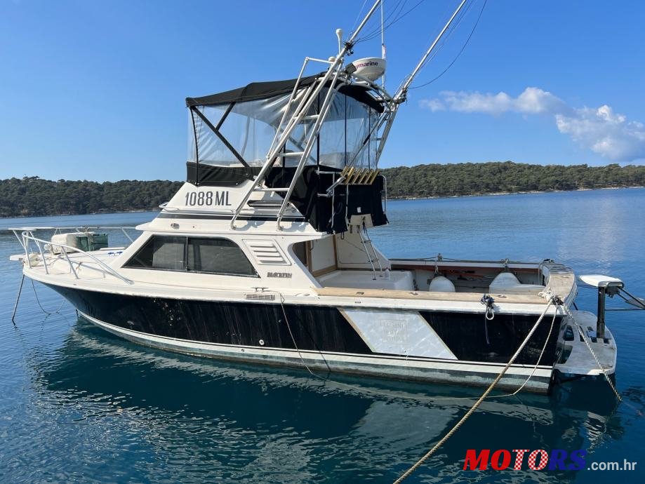 1991' Fisherman Blackfin photo #1