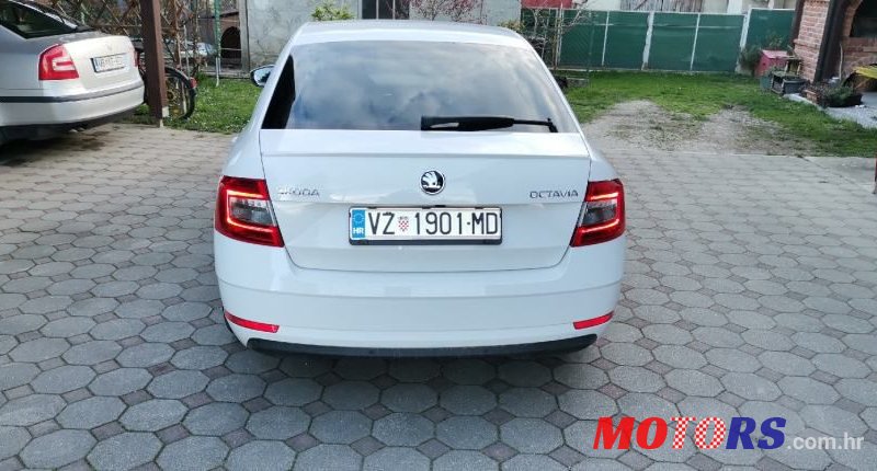 2019' Skoda Octavia 1,6 Tdi photo #6