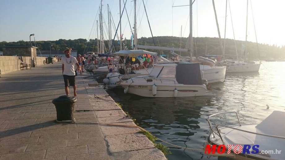 2008' Selva photo #1