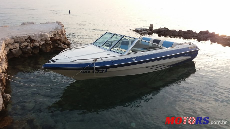 1989' Glastron photo #1