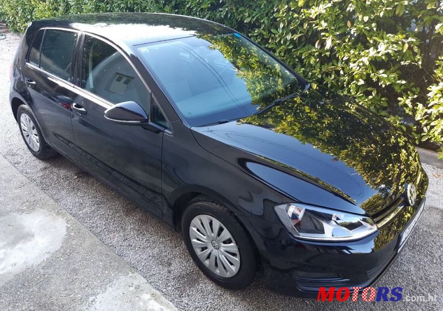 2013' Volkswagen Golf VII 1,6 Tdi Bmt photo #1