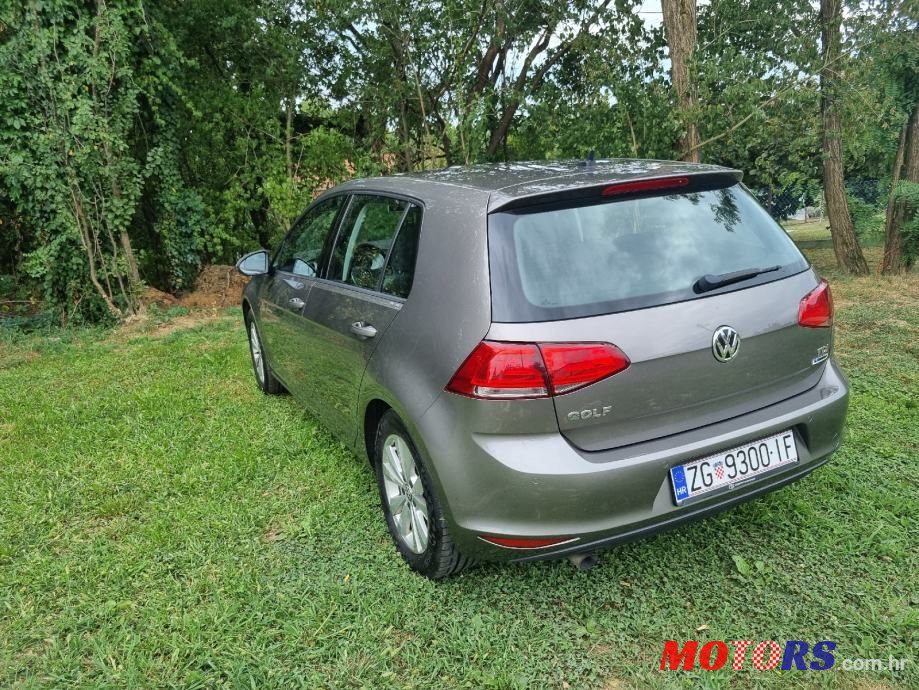 2015' Volkswagen Golf 7 photo #4