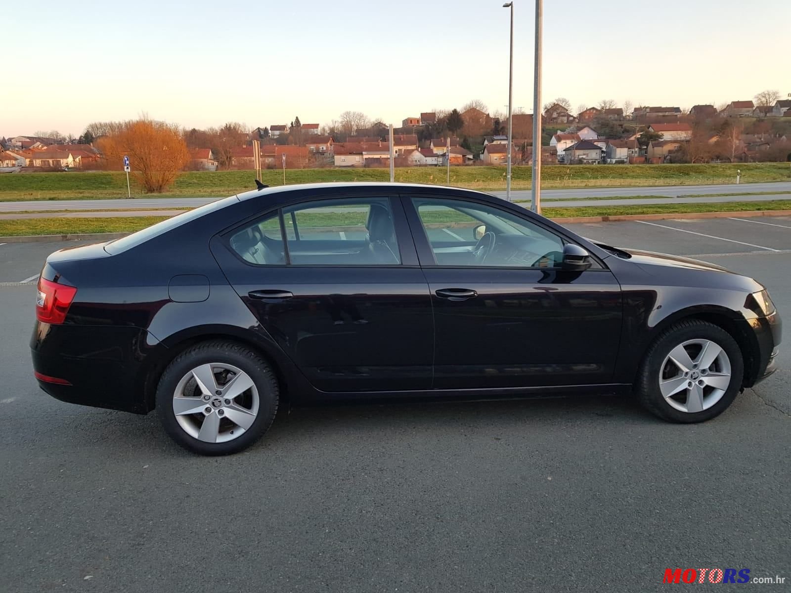 2017' Skoda Octavia 1,6 Tdi photo #4