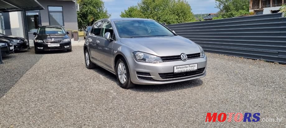 2013' Volkswagen Golf 7 photo #5