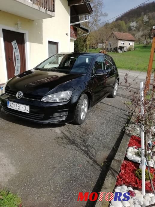 2013' Volkswagen Golf 7 photo #2