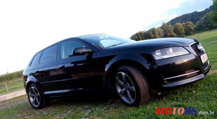 2010' Audi A3 1,6 TDI photo #2