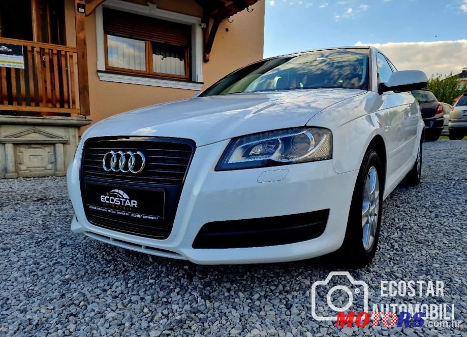 2010' Audi A3 1,6 Tdi photo #1