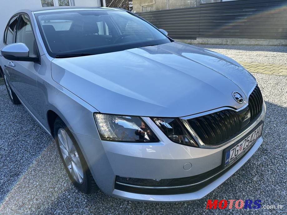 2019' Skoda Octavia 1,6 Tdi photo #2
