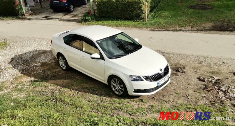 2019' Skoda Octavia 1,6 Tdi photo #2