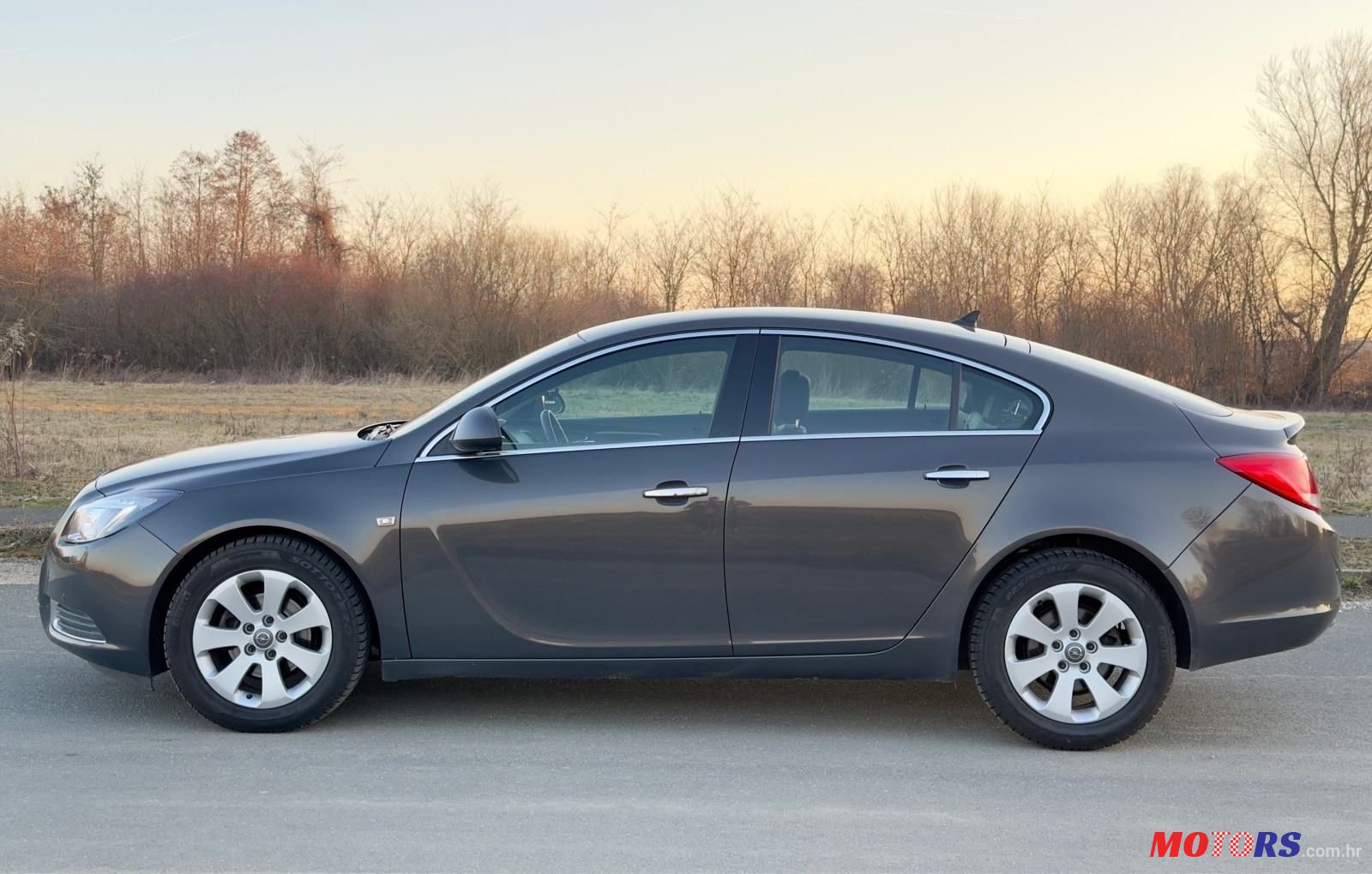 2013' Opel Insignia 2,0 Cdti photo #5