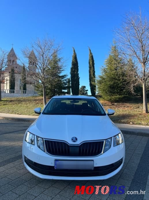 2017' Skoda Octavia 1,6 Tdi Dsg photo #3