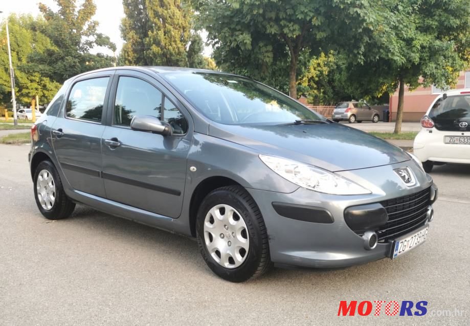 2007' Peugeot 307 photo #5