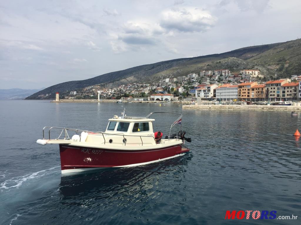 2009' Leidi 600 photo #3