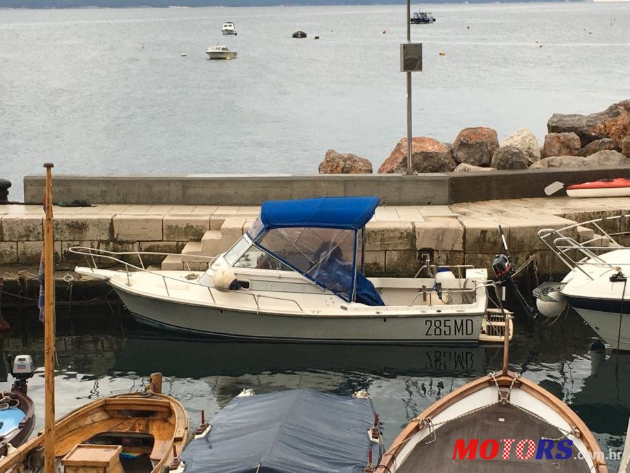 1989' Shamrock photo #1