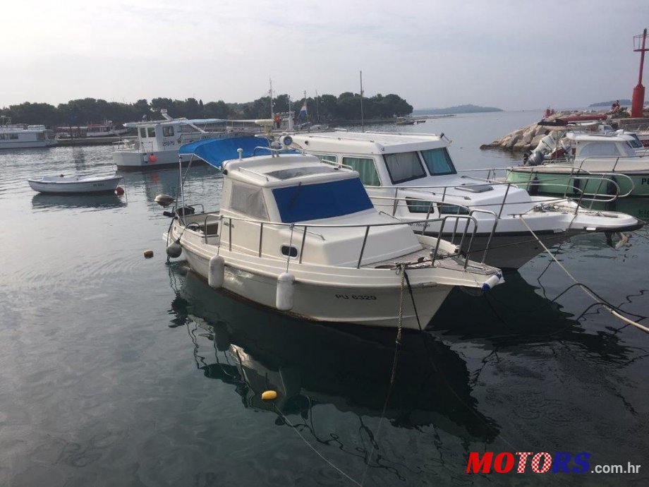 2007' Damor photo #1