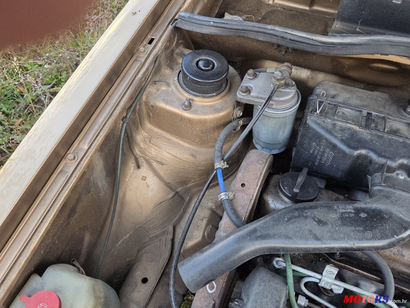 1982' Volkswagen Golf I C D photo #3