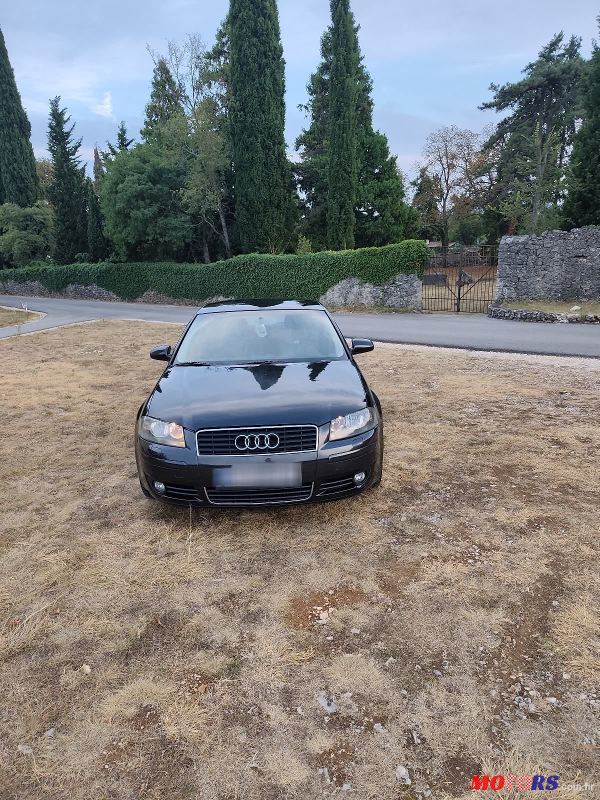 2004' Audi A3 1,9 Tdi photo #3
