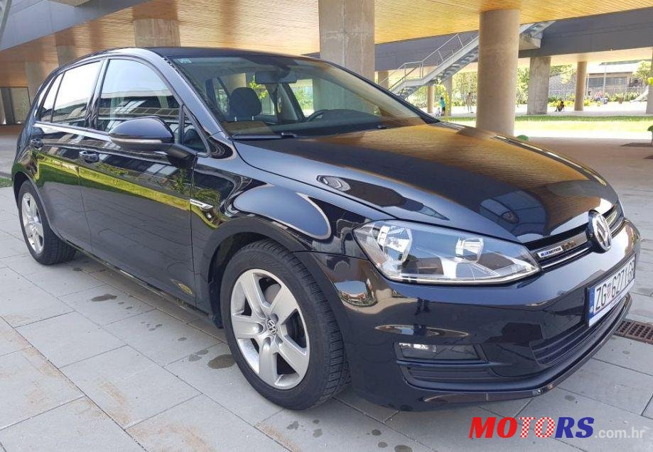 2013' Volkswagen Golf VII 1,6 Tdi Bmt photo #1