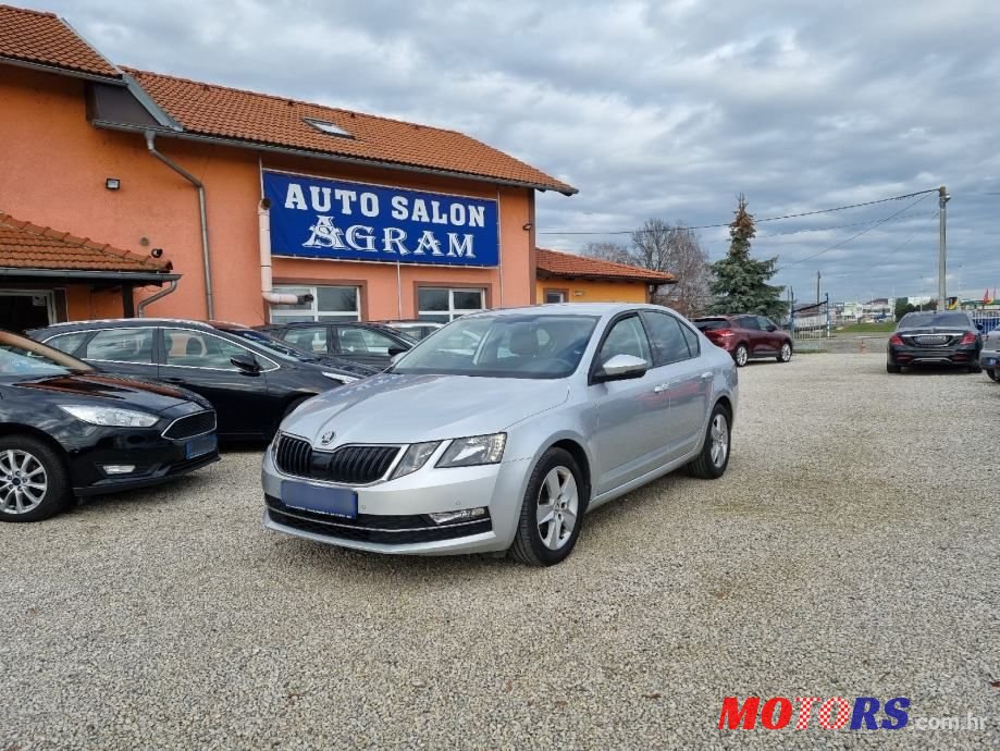 2019' Skoda Octavia 1,6 Tdi photo #1