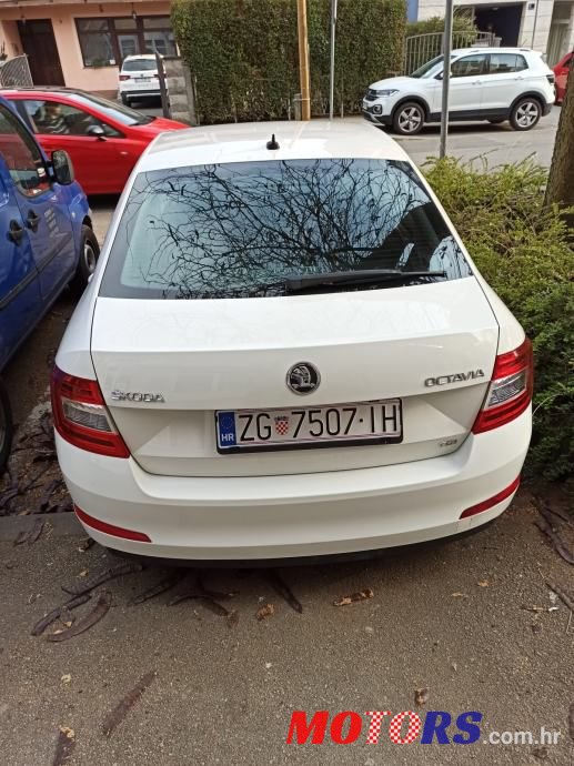 2013' Skoda Octavia 2,0 Tdi photo #2