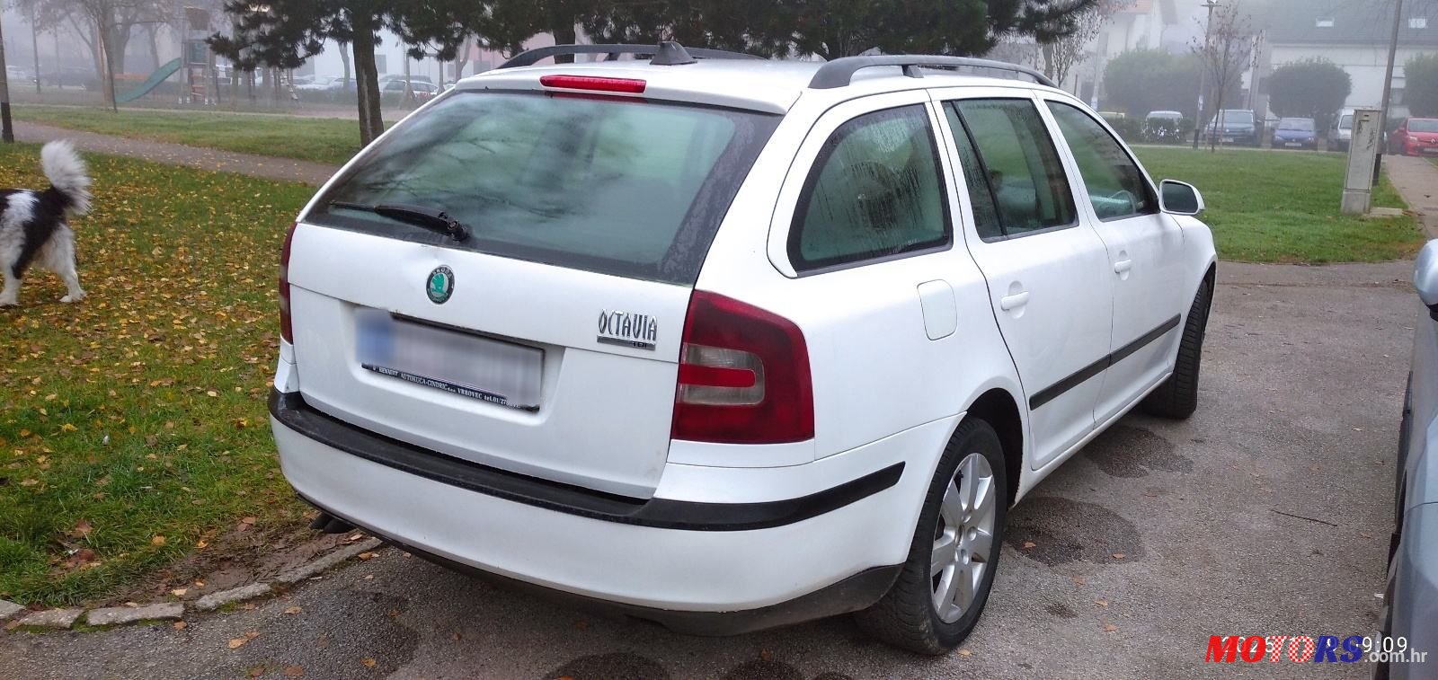 2007' Skoda Octavia 1,9 Tdi photo #3