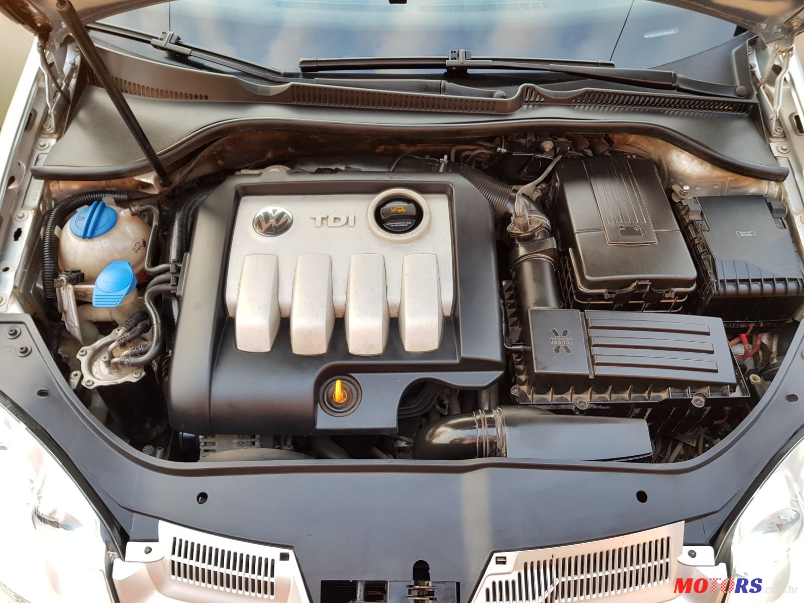 2005' Volkswagen Golf V photo #5