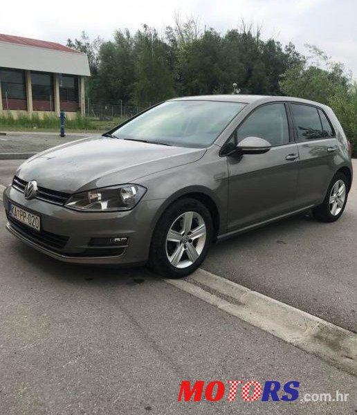 2013' Volkswagen Golf VII 1,6 Tdi Bmt photo #2