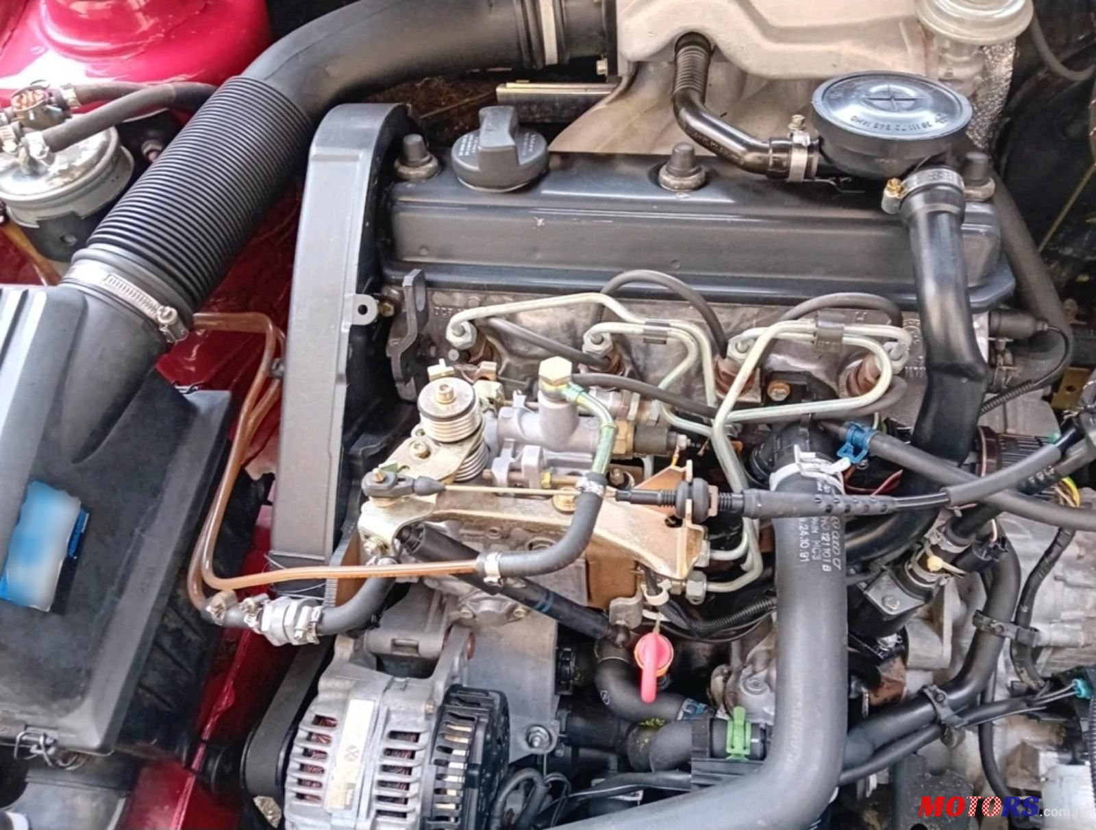 1995' Volkswagen Golf III Cl D photo #4