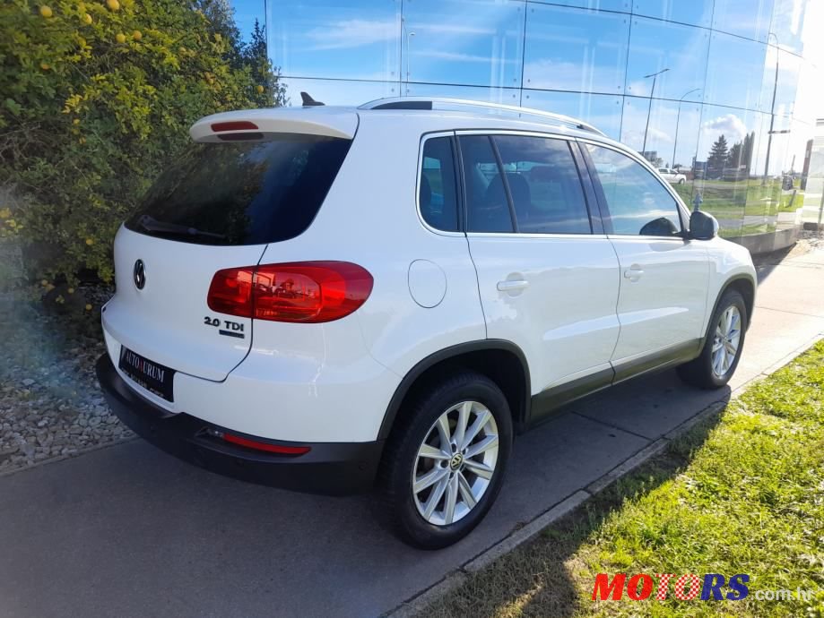 2013' Volkswagen Tiguan photo #5