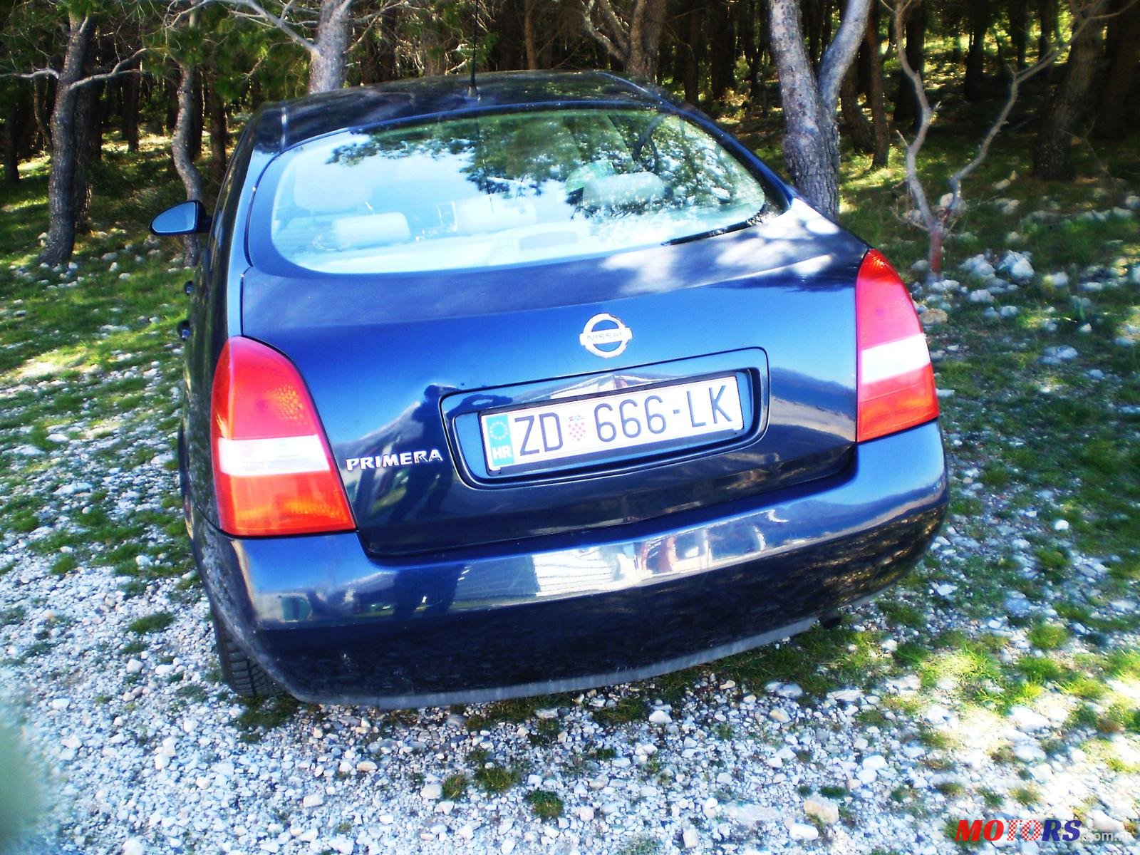 2004' Nissan Primera photo #5