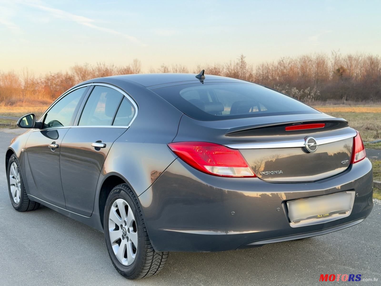 2013' Opel Insignia 2,0 Cdti photo #4