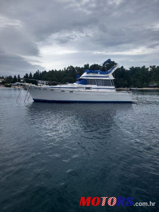 1986' Bayliner photo #1